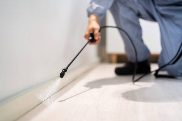Licensed Cockroach Control service in Santa Ana, CA - Nex Pest Control