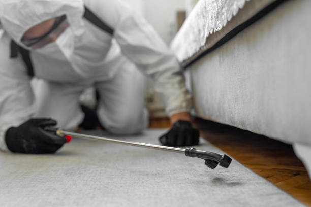 Professional Cockroach Control technician working in Santa Ana, CA
