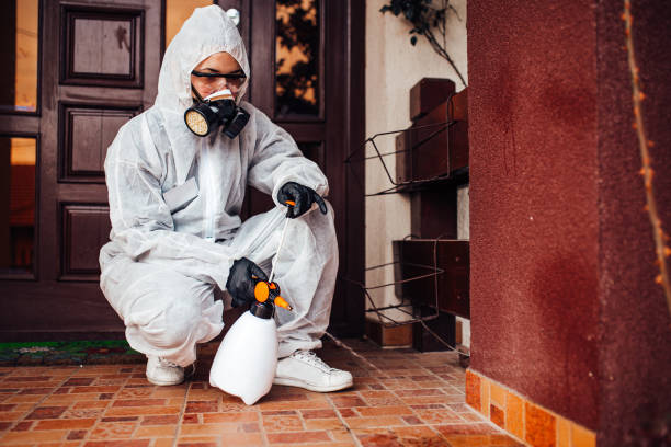 Reliable Cockroach Control contractor in Santa Ana, CA by Nex Pest Control